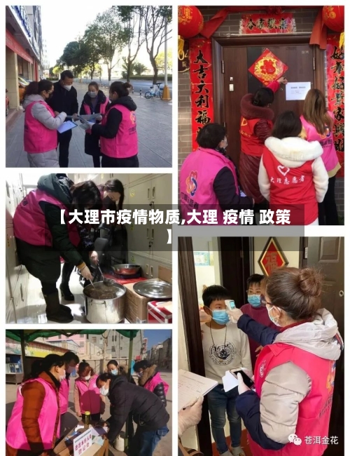 【大理市疫情物质,大理 疫情 政策】-第1张图片