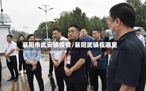 襄阳市武安镇疫情/襄阳武镇在哪里-第1张图片