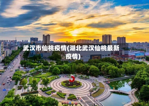 武汉市仙桃疫情(湖北武汉仙桃最新疫情)-第3张图片