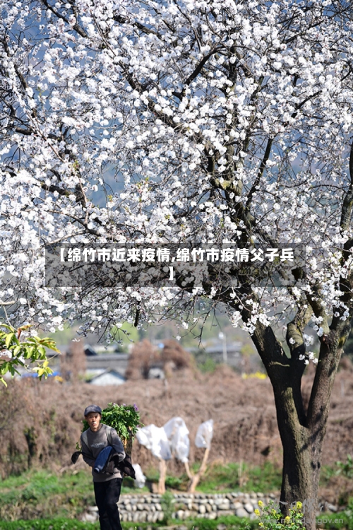 【绵竹市近来疫情,绵竹市疫情父子兵】-第3张图片