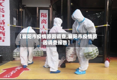 【襄阳市疫情原因调查,襄阳市疫情原因调查报告】-第1张图片