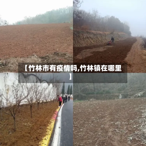 【竹林市有疫情吗,竹林镇在哪里】-第2张图片