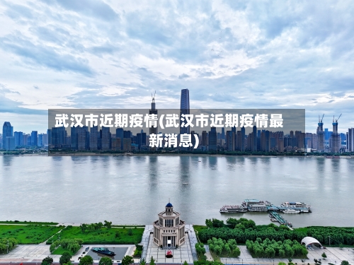 武汉市近期疫情(武汉市近期疫情最新消息)-第3张图片