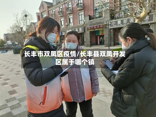 长丰市双凤区疫情/长丰县双凤开发区属于哪个镇-第1张图片