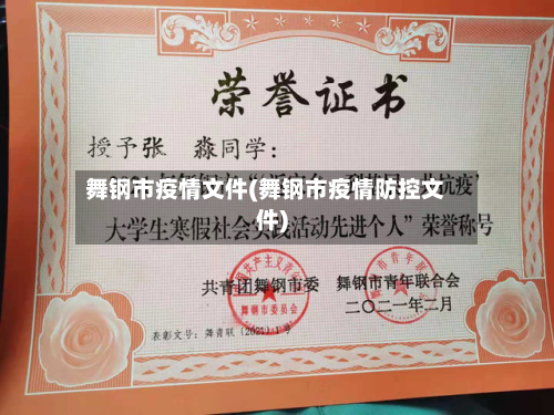 舞钢市疫情文件(舞钢市疫情防控文件)-第1张图片