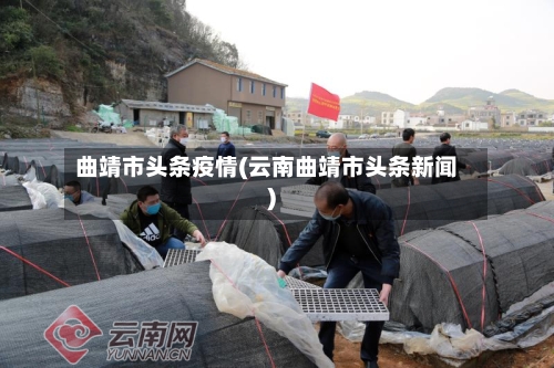 曲靖市头条疫情(云南曲靖市头条新闻)-第2张图片