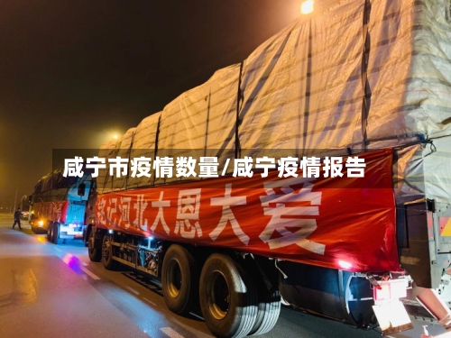 咸宁市疫情数量/咸宁疫情报告-第1张图片