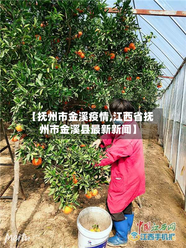 【抚州市金溪疫情,江西省抚州市金溪县最新新闻】-第1张图片