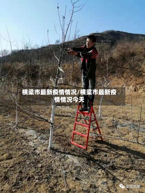 横梁市最新疫情情况/横梁市最新疫情情况今天