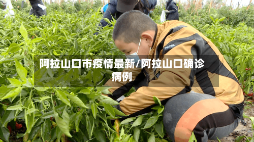 阿拉山口市疫情最新/阿拉山口确诊病例-第1张图片