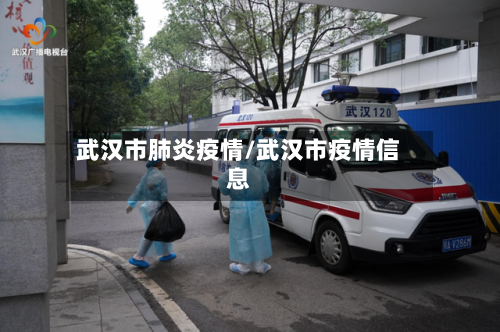 武汉市肺炎疫情/武汉市疫情信息-第2张图片