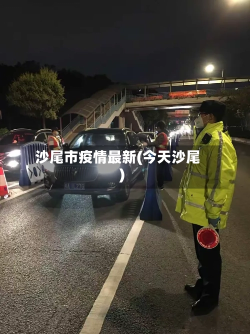 沙尾市疫情最新(今天沙尾)