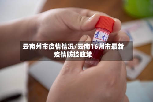 云南州市疫情情况/云南16州市最新疫情防控政策-第2张图片