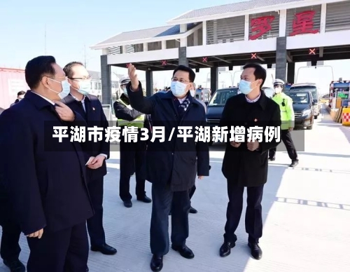 平湖市疫情3月/平湖新增病例-第3张图片