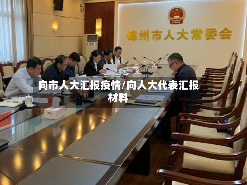 向市人大汇报疫情/向人大代表汇报材料-第1张图片