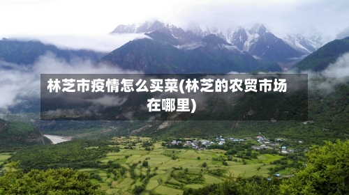 林芝市疫情怎么买菜(林芝的农贸市场在哪里)-第2张图片