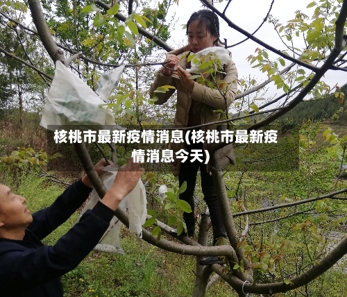 核桃市最新疫情消息(核桃市最新疫情消息今天)-第1张图片