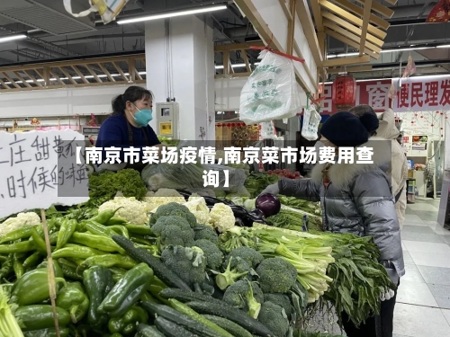 【南京市菜场疫情,南京菜市场费用查询】-第1张图片
