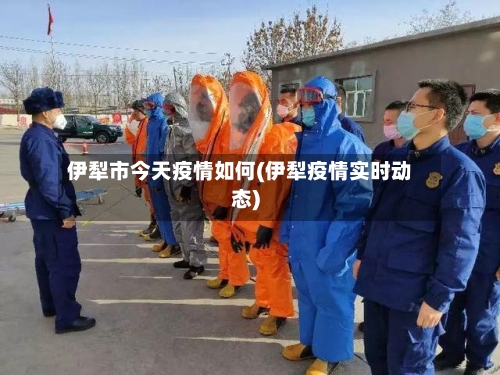 伊犁市今天疫情如何(伊犁疫情实时动态)-第1张图片