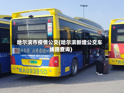 哈尔滨市疫情公交(哈尔滨新增公交车线路查询)-第1张图片