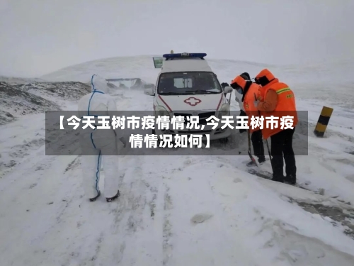 【今天玉树市疫情情况,今天玉树市疫情情况如何】-第1张图片