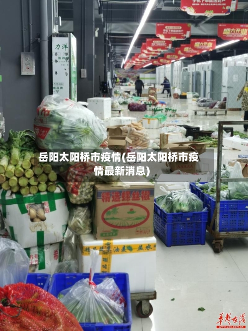 岳阳太阳桥市疫情(岳阳太阳桥市疫情最新消息)-第1张图片