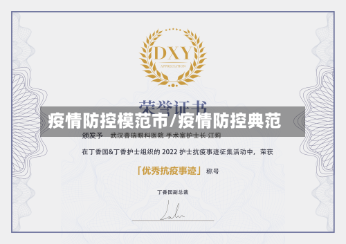 疫情防控模范市/疫情防控典范-第1张图片