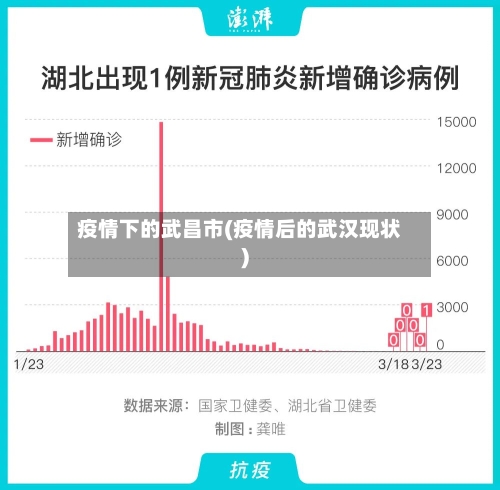 疫情下的武昌市(疫情后的武汉现状)-第1张图片