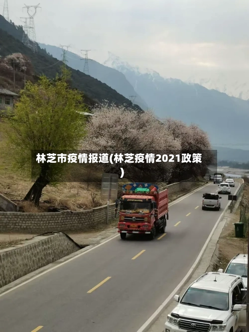 林芝市疫情报道(林芝疫情2021政策)-第2张图片
