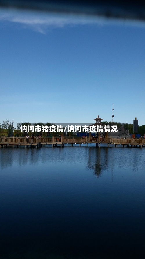 讷河市猪疫情/讷河市疫情情况-第1张图片