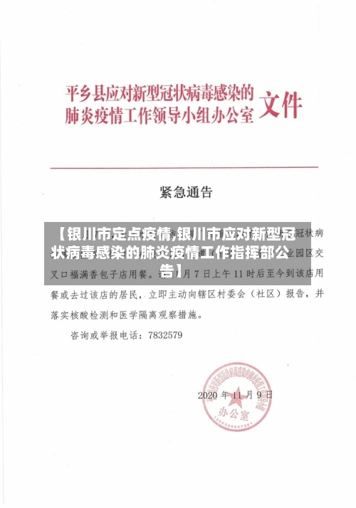 【银川市定点疫情,银川市应对新型冠状病毒感染的肺炎疫情工作指挥部公告】-第1张图片