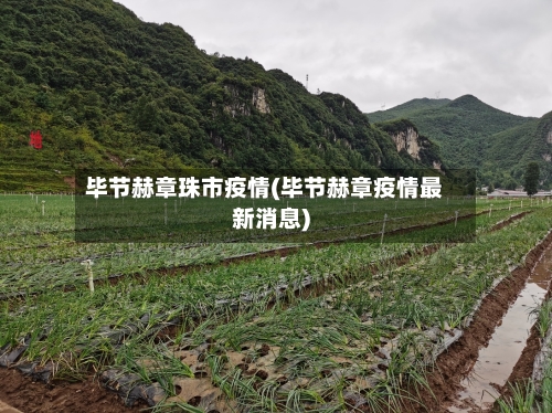 毕节赫章珠市疫情(毕节赫章疫情最新消息)-第1张图片