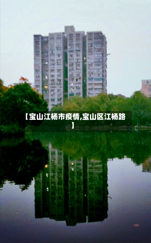 【宝山江杨市疫情,宝山区江杨路】-第2张图片