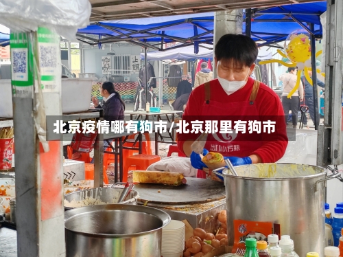北京疫情哪有狗市/北京那里有狗市-第3张图片