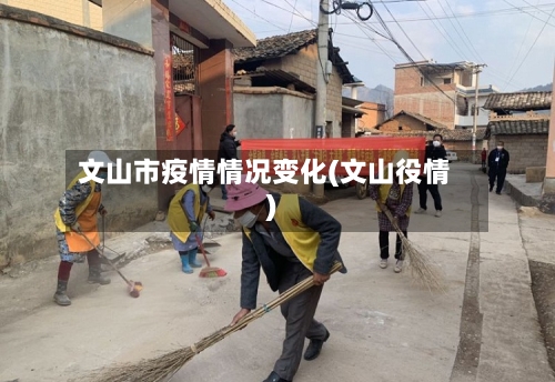 文山市疫情情况变化(文山役情)-第1张图片