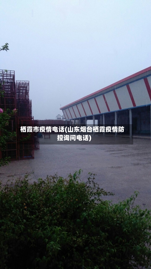 栖霞市疫情电话(山东烟台栖霞疫情防控询问电话)-第1张图片