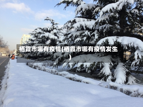 栖霞市哪有疫情(栖霞市哪有疫情发生)-第1张图片