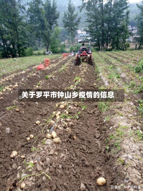 关于罗平市钟山乡疫情的信息-第1张图片