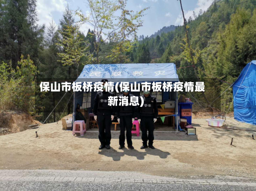 保山市板桥疫情(保山市板桥疫情最新消息)-第2张图片