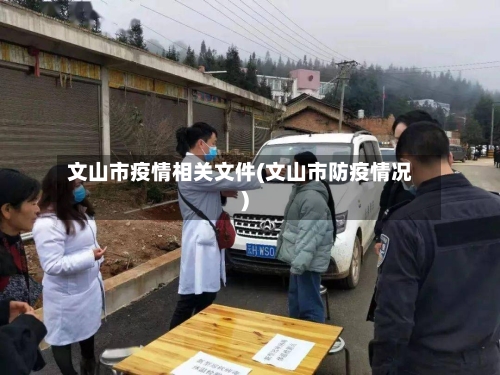 文山市疫情相关文件(文山市防疫情况)-第1张图片