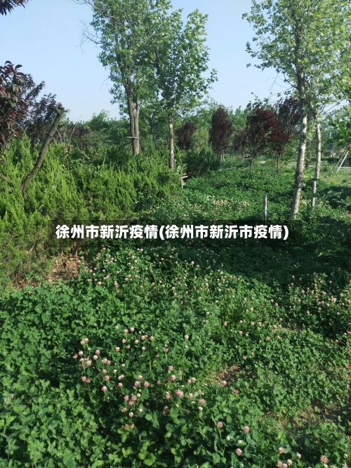 徐州市新沂疫情(徐州市新沂市疫情)-第1张图片