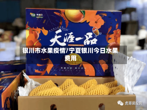 银川市水果疫情/宁夏银川今日水果费用-第1张图片