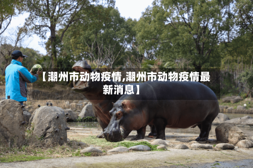 【潮州市动物疫情,潮州市动物疫情最新消息】-第1张图片