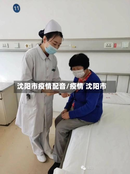 沈阳市疫情配音/疫情 沈阳市-第1张图片