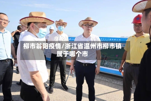 柳市翁阳疫情/浙江省温州市柳市镇属于哪个市-第1张图片