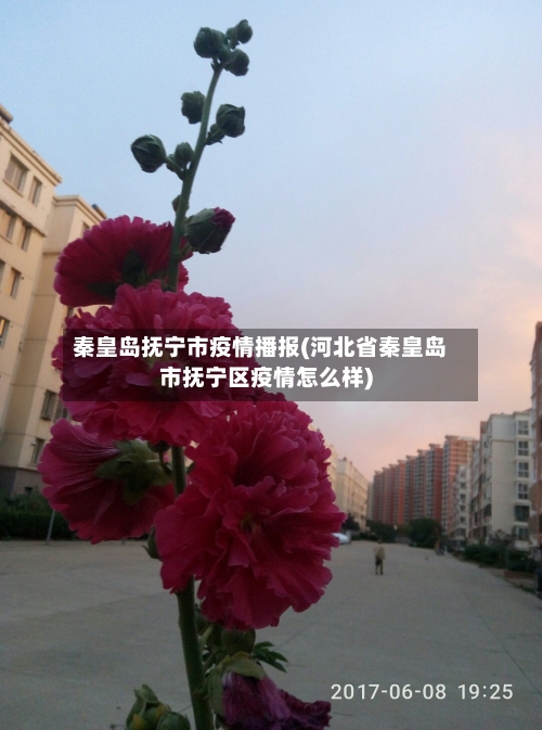 秦皇岛抚宁市疫情播报(河北省秦皇岛市抚宁区疫情怎么样)-第1张图片