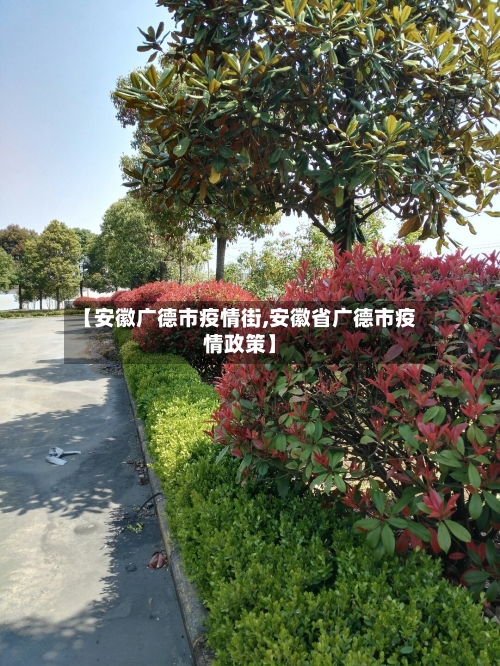 【安徽广德市疫情街,安徽省广德市疫情政策】-第1张图片