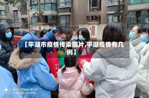 【平湖市疫情传染图片,平湖疫情有几例】-第2张图片