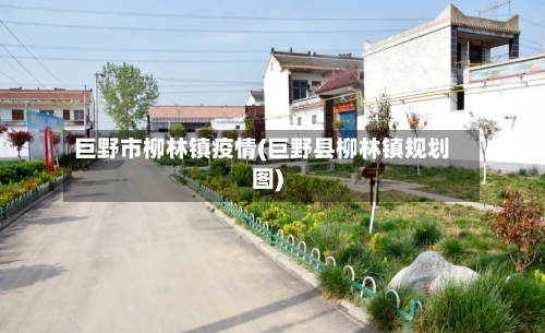 巨野市柳林镇疫情(巨野县柳林镇规划图)-第3张图片