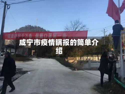 咸宁市疫情瞒报的简单介绍-第3张图片